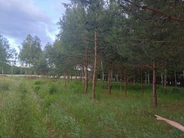 Bezpośrednio, Krasne, 1500 m² Działka