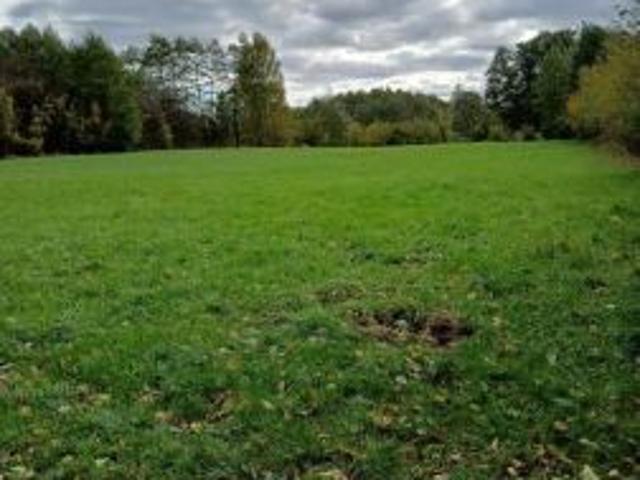 Bezpośrednio, Krasne, 4100 m² Działka