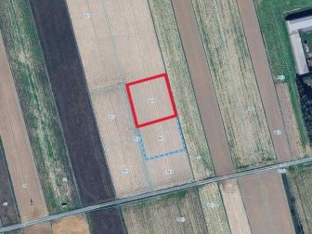 Bezpośrednio, Krasienin Kolonia, 1346 m² Działka