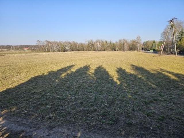 Bezpośrednio, Kraszew, ul. Dolna, 1000 m² Działka