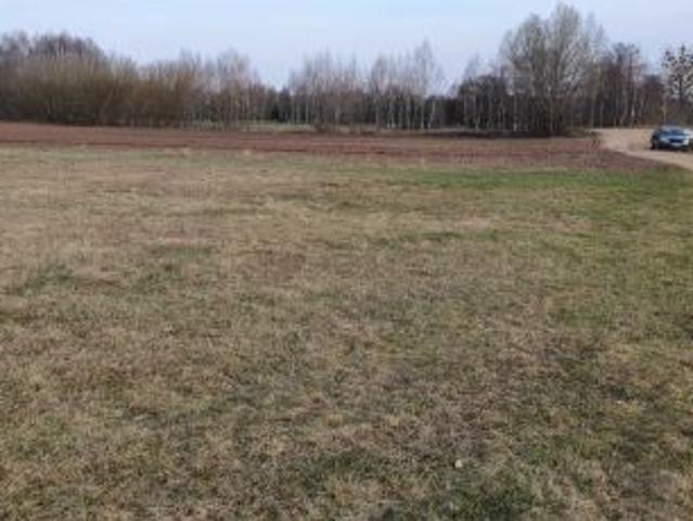 Bezpośrednio, Królewo, 5300 m² Działka