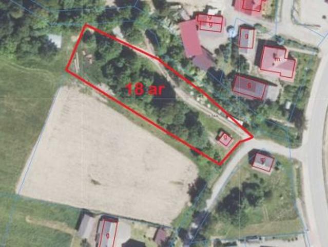Bezpośrednio, Królik Polski, 1800 m² Działka