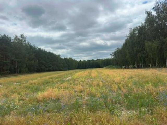 Bezpośrednio, Księżomierz, 14000 m² Działka