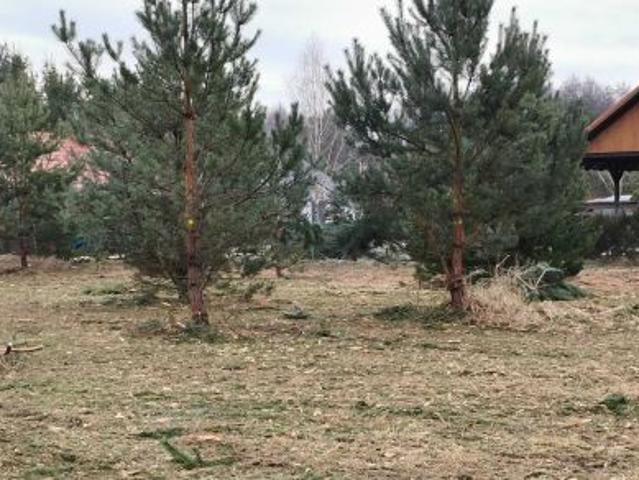 Bezpośrednio, Kuźnica Głogowska, 1001 m² Działka