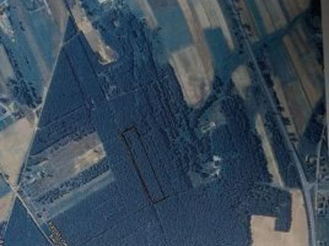Bezpośrednio, Kuźnica Skakawska, 12970 m² Działka
