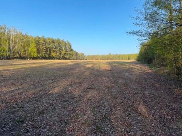 Bezpośrednio, Kubice, 3000 m² Działka