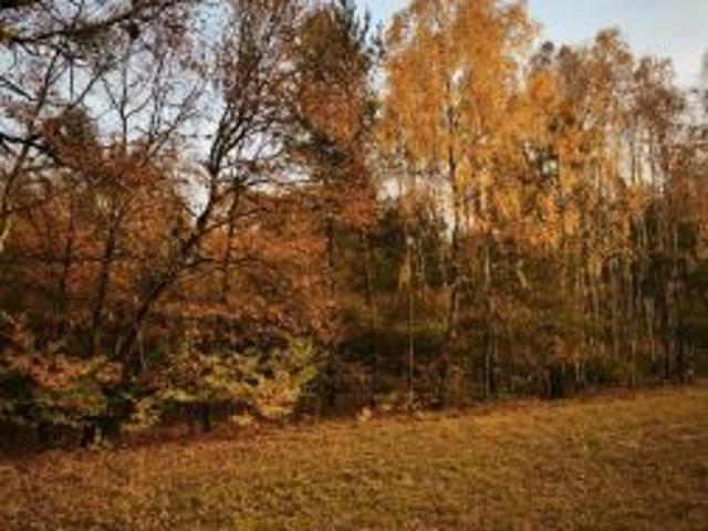 Bezpośrednio, Kukowo, 27800 m² Działka