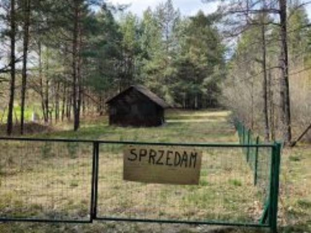 Bezpośrednio, Kukle, Sadek, 9470 m² Działka