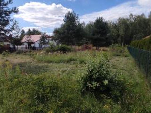 Bezpośrednio, Kunów, ul. Grabowiecka, 1195 m² Działka