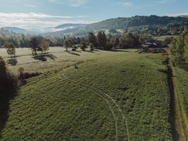 Bezpośrednio, Kurów, 1000 m² Działka