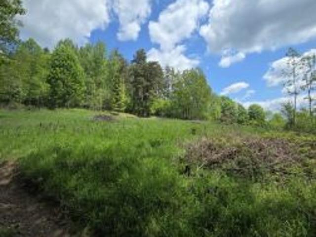 Bezpośrednio, Kurów, 1649 m² Działka