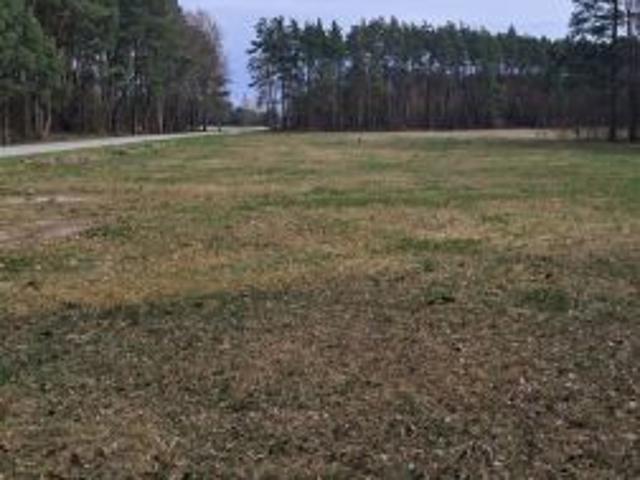 Bezpośrednio, Kurzelów, 3200 m² Działka
