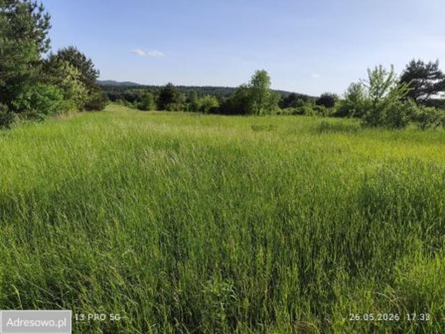 Bezpośrednio, Kwaśniów Dolny, ul. Cieślińska, 10377 m² Działka