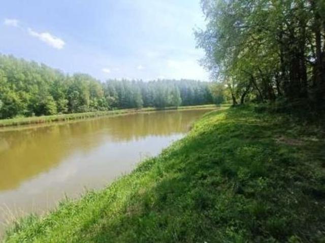 Bezpośrednio, Hopkie, 9000 m² Działka