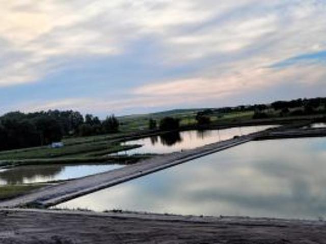 Bezpośrednio, Horodyszcze Kolonia, 120000 m² Działka