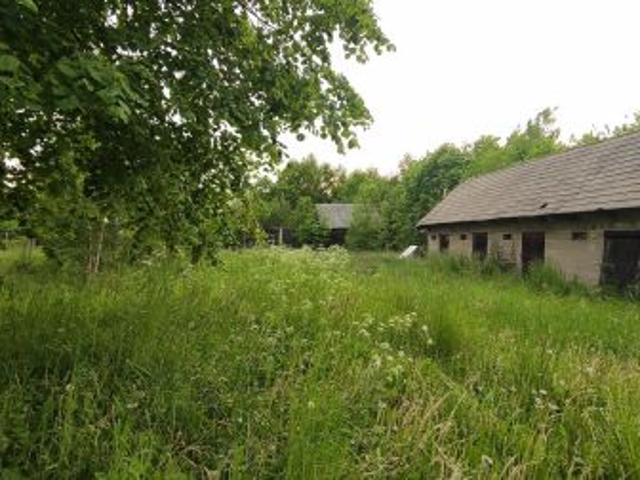 Bezpośrednio, Hajnówka, 4067 m² Działka