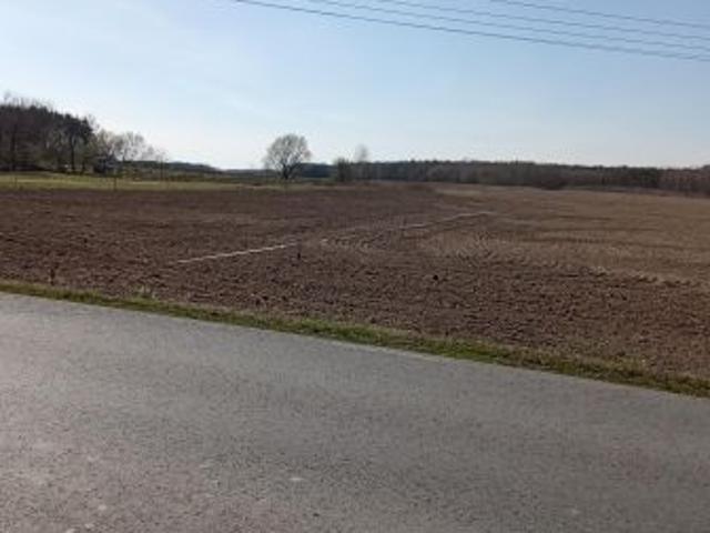 Bezpośrednio, Helenów, 20000 m² Działka