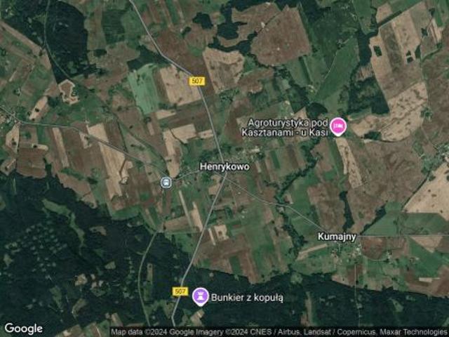 Bezpośrednio, Henrykowo, 43400 m² Działka