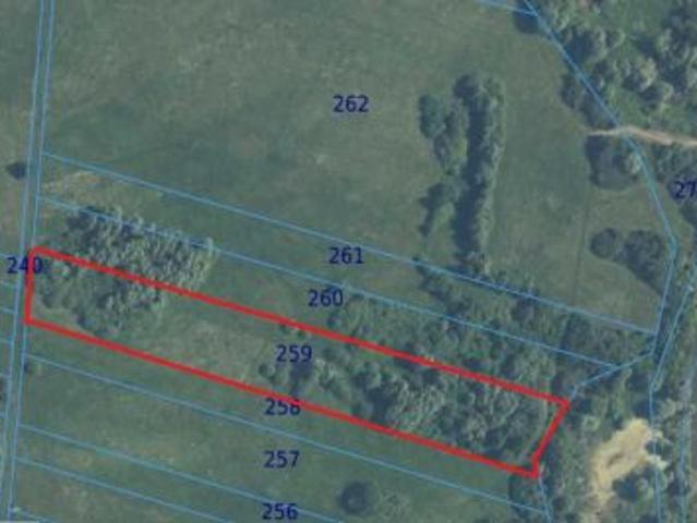 Bezpośrednio, Husynne, 21500 m² Działka