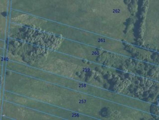 Bezpośrednio, Husynne, 21500 m² Działka