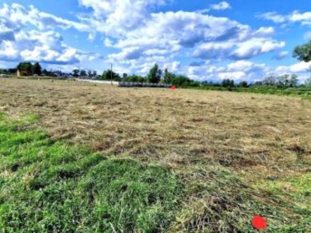 Bezpośrednio, Iława, ul. Lipowy Dwór, 3500 m² Działka