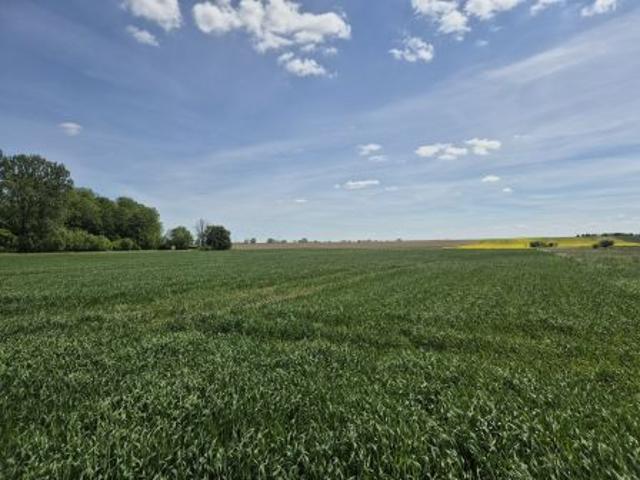 Bezpośrednio, Imielno, 12000 m² Działka