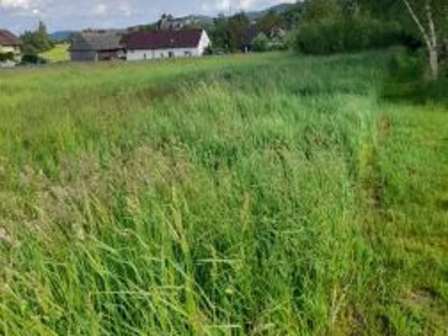 Bezpośrednio, Inwałd, Korcza, 1803 m² Działka