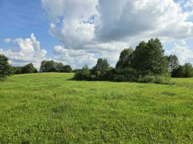 Bezpośrednio, Iwanówka, 85000 m² Działka
