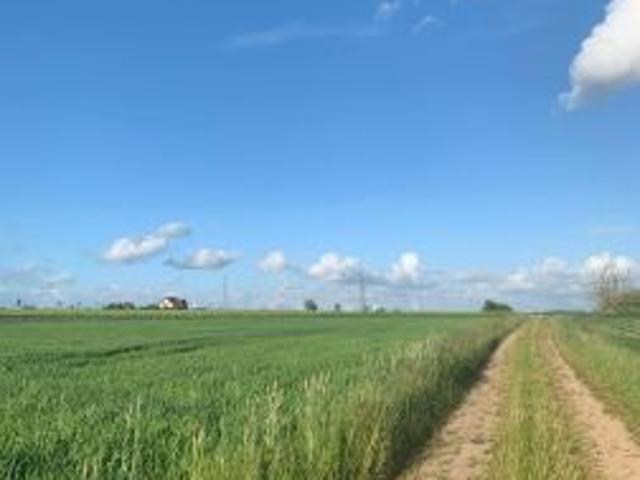 Bezpośrednio, Iwięcino, 1200 m² Działka