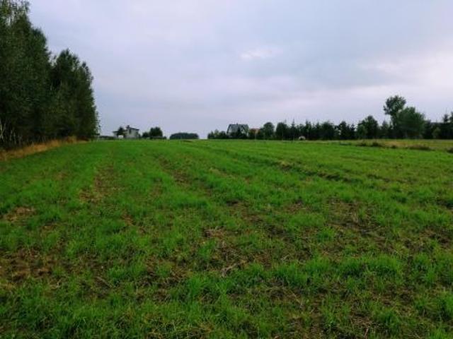 Bezpośrednio, Izbiska, 10268 m² Działka