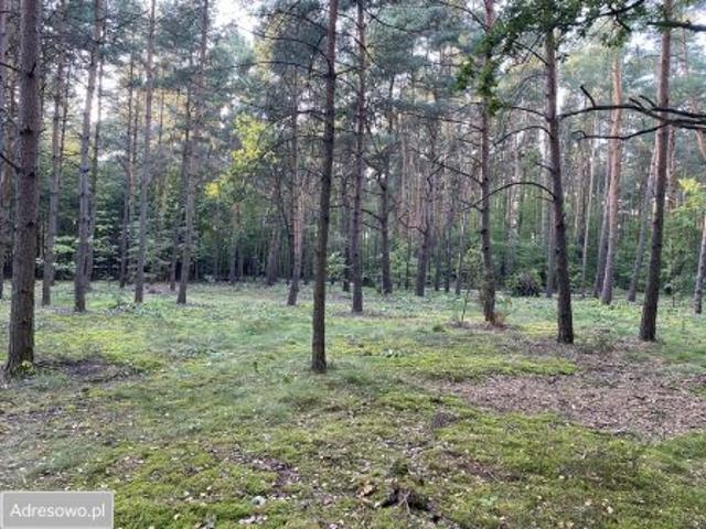 Bezpośrednio, Józefów, ul. Podleśna, 3400 m² Działka