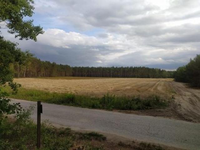 Bezpośrednio, Józefowo, 1275 m² Działka