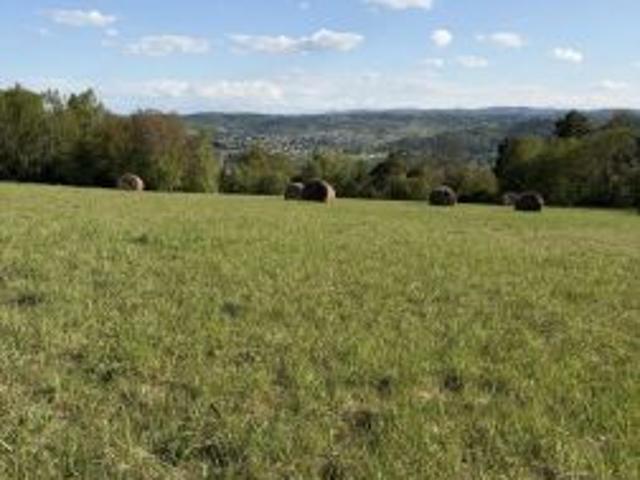 Bezpośrednio, Jordanów, 9770 m² Działka