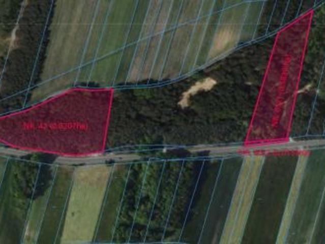 Bezpośrednio, Jaworek, 14300 m² Działka