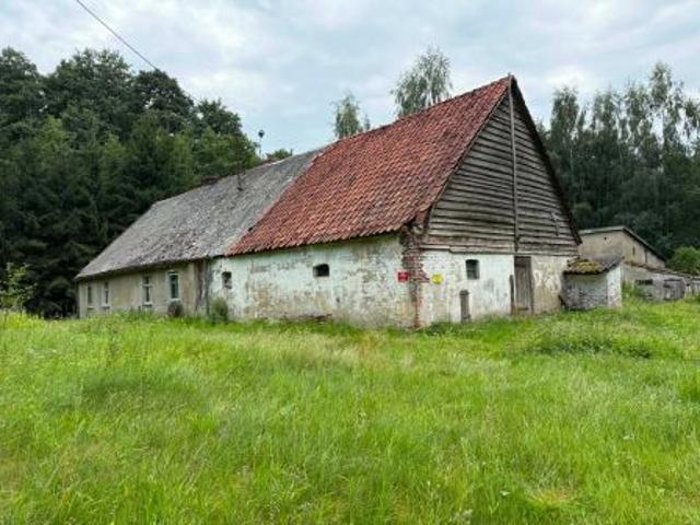 Bezpośrednio, Jałowiec, 60 m² Dom