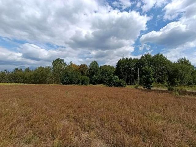 Bezpośrednio, Jaźwie, ul. Rodziny Majewskich, 3000 m² Działka