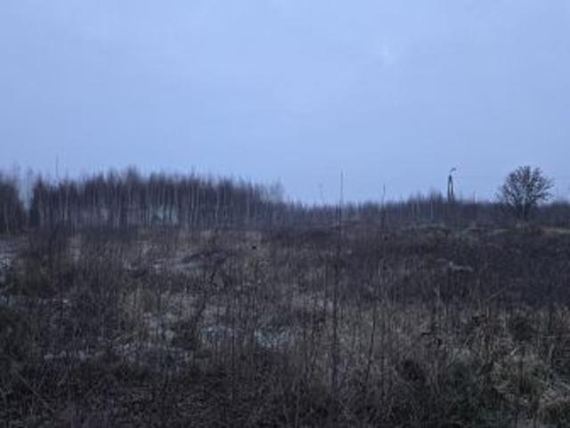 Bezpośrednio, Jabłonowo Pomorskie, 1000 m² Działka