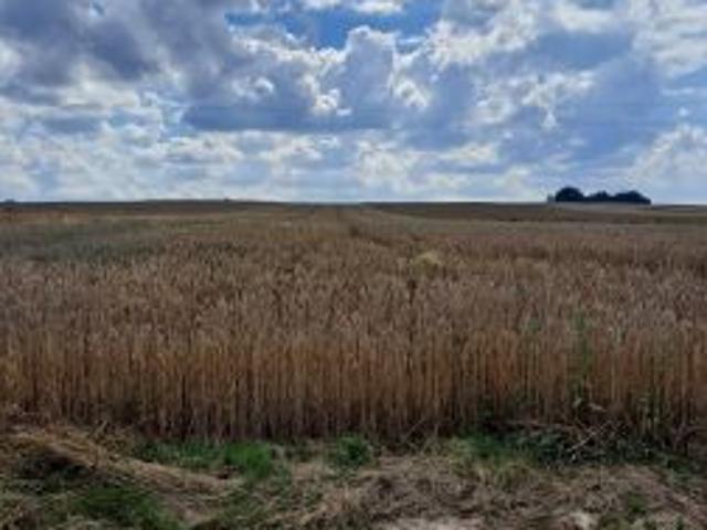 Bezpośrednio, Jabłonna Druga, 971 m² Działka