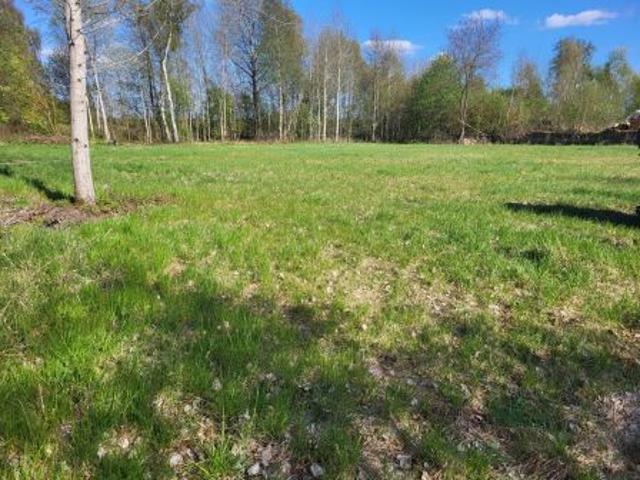 Bezpośrednio, Jamienko, 3125 m² Działka