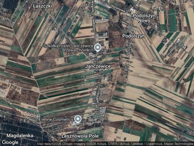 Bezpośrednio, Janczewice, ul. Żytnia, 16000 m² Działka