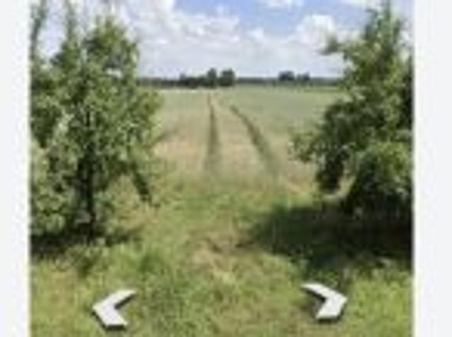 Bezpośrednio, Janów, 1350 m² Działka