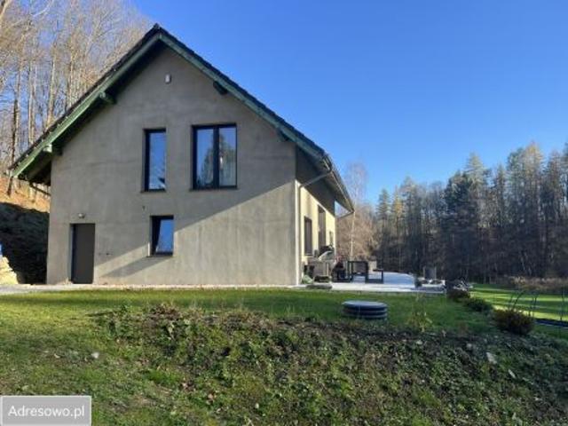 Bezpośrednio, Janowice Wielkie, 220 m² Dom