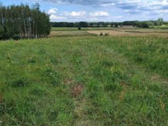 Bezpośrednio, Januszkowice, 11300 m² Działka