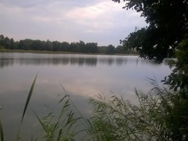 Bezpośrednio, Jarczechowo, 1832 m² Działka