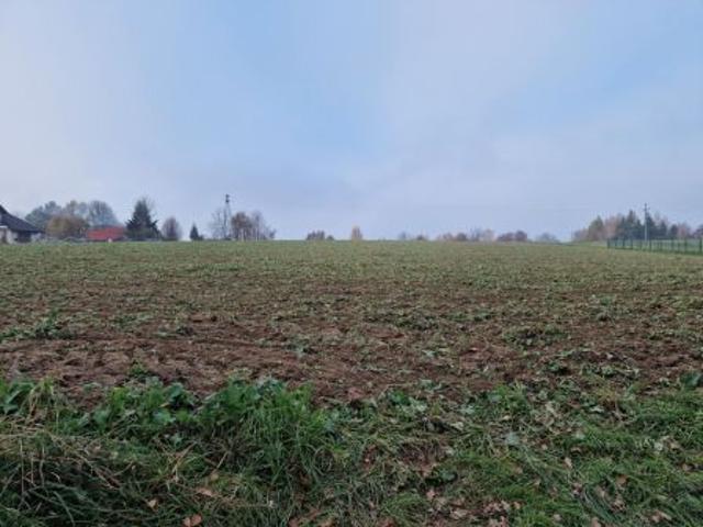 Bezpośrednio, Jaroszówka, 12200 m² Działka