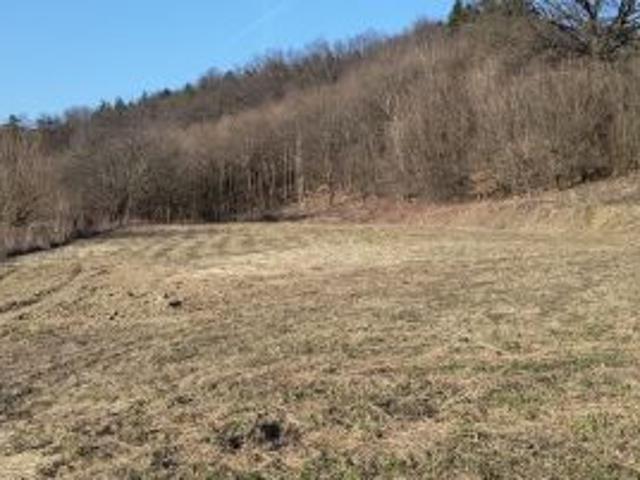Bezpośrednio, Jasło, Kowalowy, 2800 m² Działka