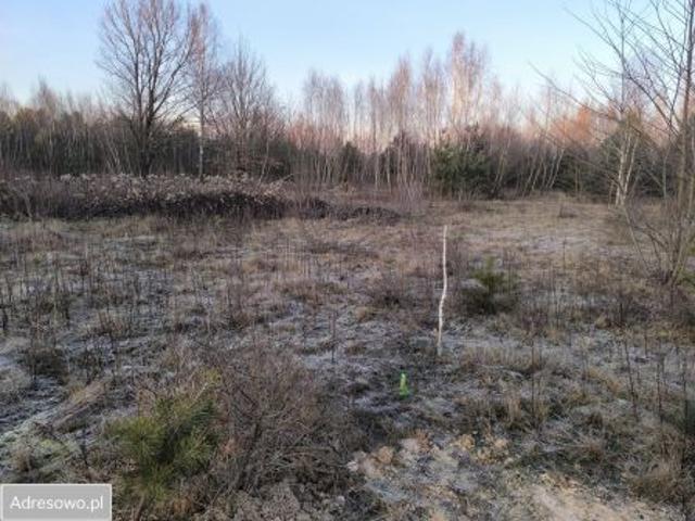 Bezpośrednio, Jasienica, ul. Wołomińska, 1000 m² Działka