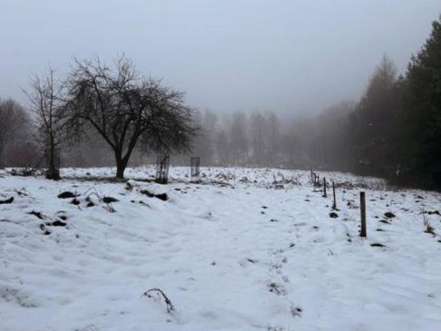 Bezpośrednio, Jastrzębie Zdrój, Ruptawa, ul. Matejki, 5400 m² Działka