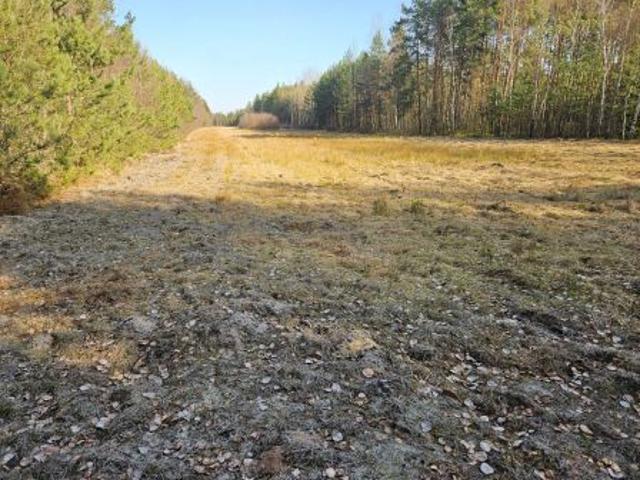 Bezpośrednio, Jeżów, 16600 m² Działka
