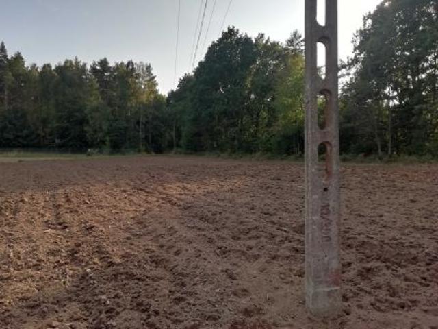 Bezpośrednio, Jeldzino, 2300 m² Działka